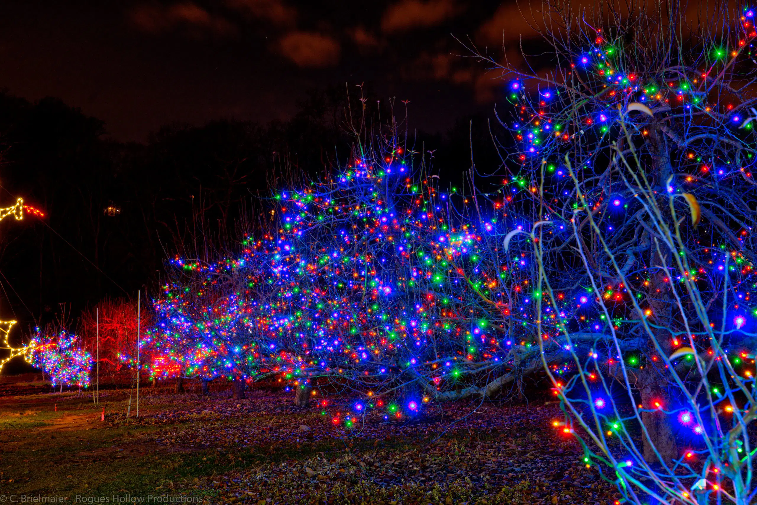 Bringing Joy and Sparkle: Experience the Magic of Professional Christmas Light Installation